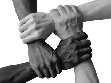 kaufmaennische fachkraefte